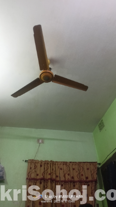 CITY 56 ceiling Fan